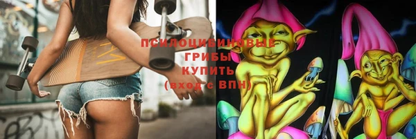 ПСИЛОЦИБИНОВЫЕ ГРИБЫ Гусиноозёрск