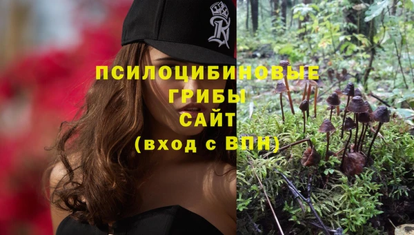 а пвп мука Вяземский