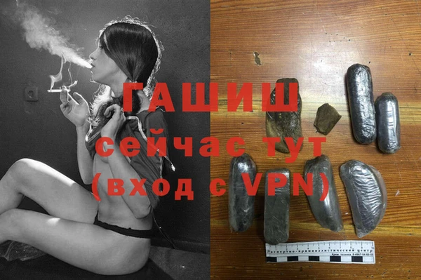 дмт Гусев