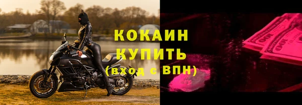 ПСИЛОЦИБИНОВЫЕ ГРИБЫ Гусиноозёрск