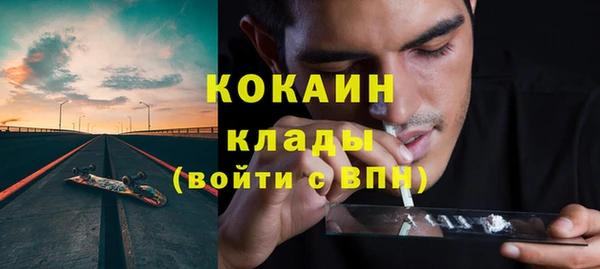 дмт Гусев