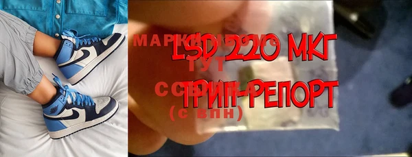 дмт Гусев