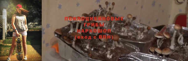 а пвп мука Вяземский