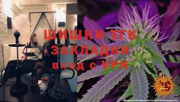 ПСИЛОЦИБИНОВЫЕ ГРИБЫ Гусиноозёрск
