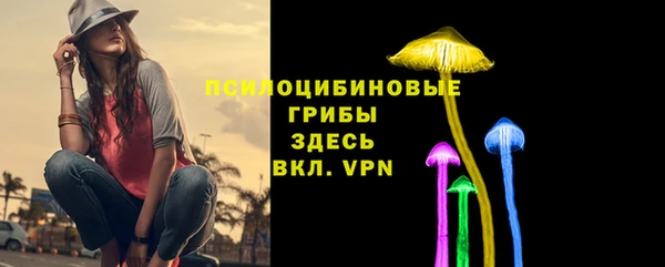 ALPHA-PVP Гусь-Хрустальный