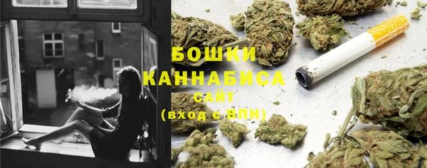 ПСИЛОЦИБИНОВЫЕ ГРИБЫ Гусиноозёрск