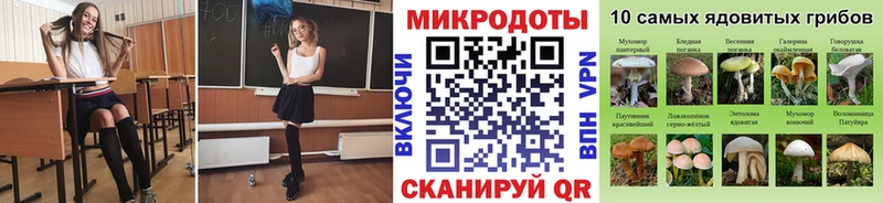 Галлюциногенные грибы прущие грибы  Демидов 